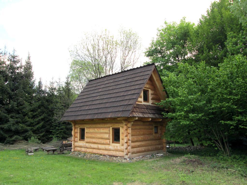 Noclegi Pod Malym Krolem Ustrzyki Dolne Extérieur photo